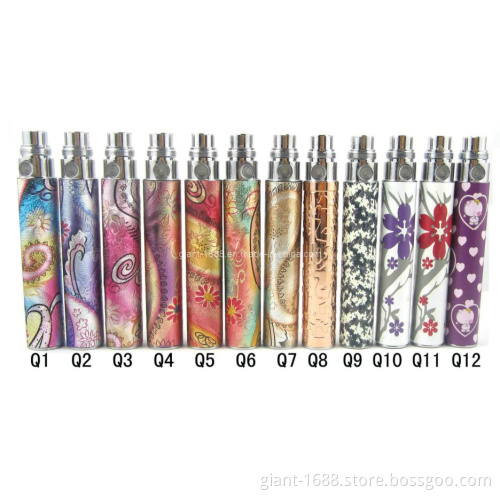 2013 Fashional EGO-Q Battery